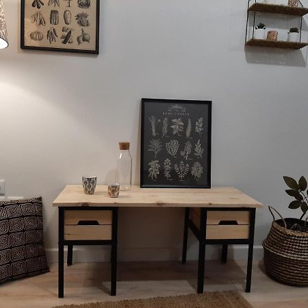 Louhans Les Petites Arcades Avec Ses Deux Appartements Cote Arcades Et Cote Cour Kültér fotó