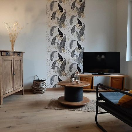 Louhans Les Petites Arcades Avec Ses Deux Appartements Cote Arcades Et Cote Cour Kültér fotó