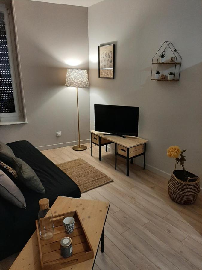 Louhans Les Petites Arcades Avec Ses Deux Appartements Cote Arcades Et Cote Cour Kültér fotó