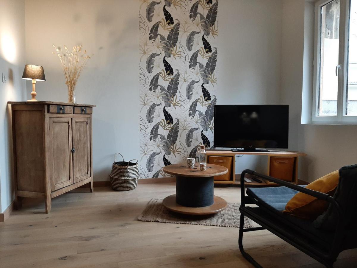Louhans Les Petites Arcades Avec Ses Deux Appartements Cote Arcades Et Cote Cour Kültér fotó